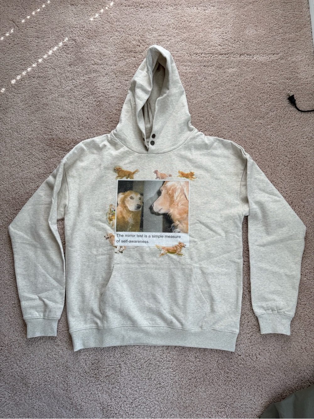 Wikipedia Self Awareness Dog Hoodie